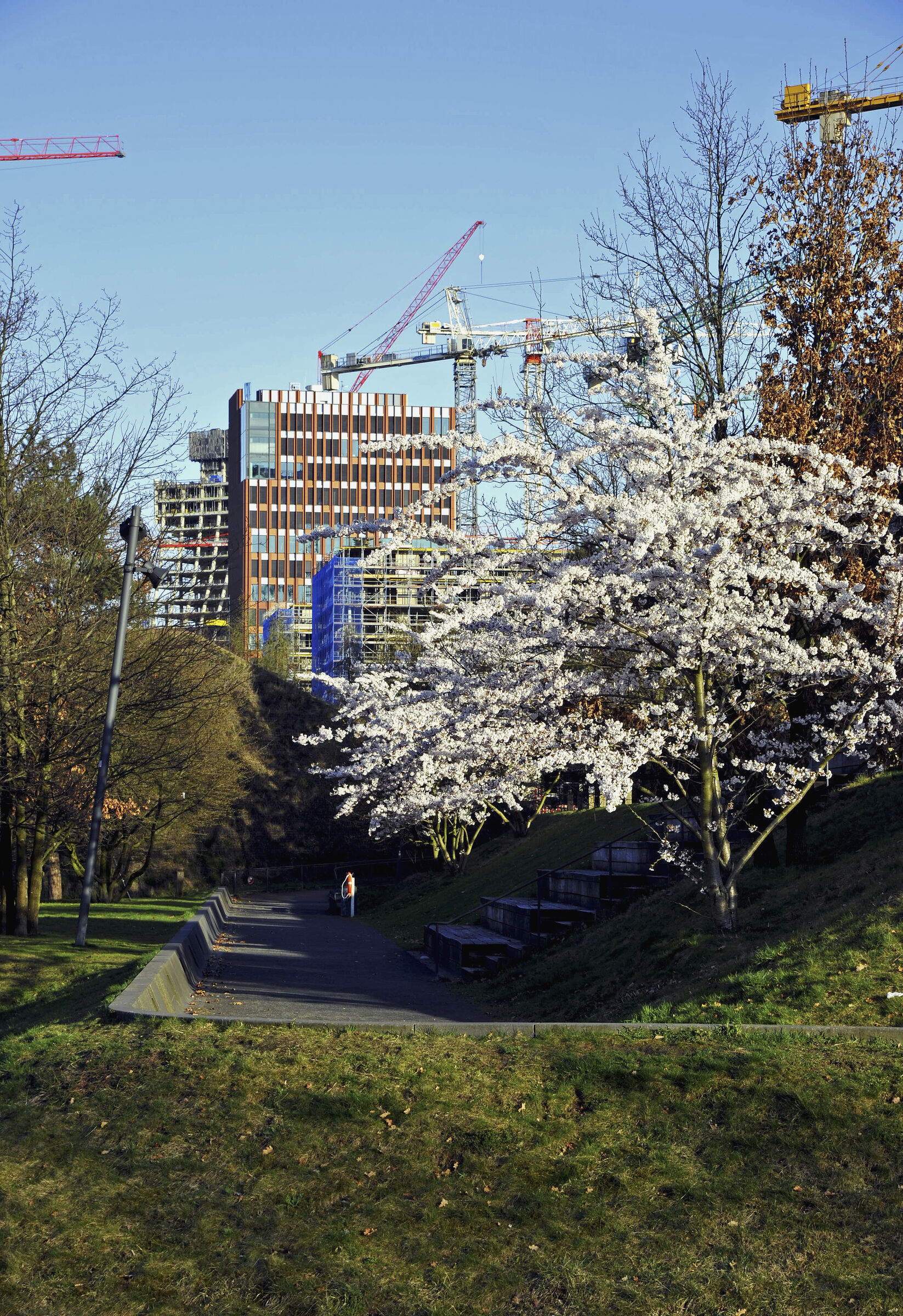 hamburg  2025 - hafencity (15)