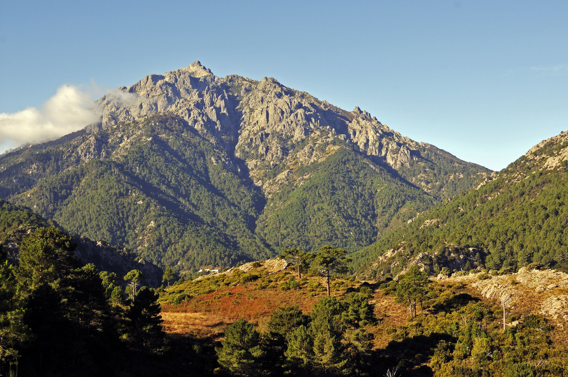 korsika  - vivario – blick auf den monte d`oro