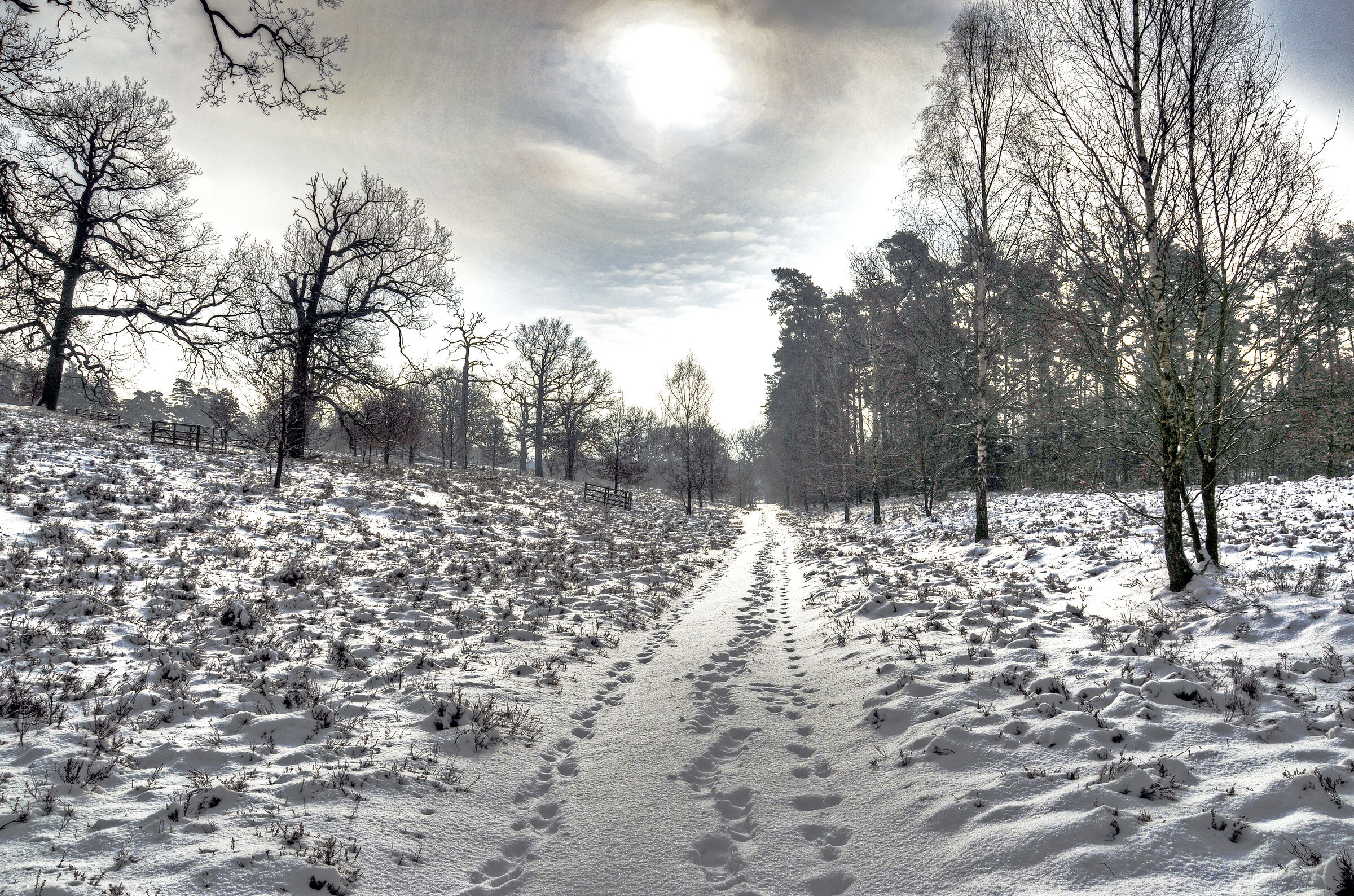 Neu auf meiner Website: Winterimpressionen und Bilder aus dem Breeser Grund im Wendland