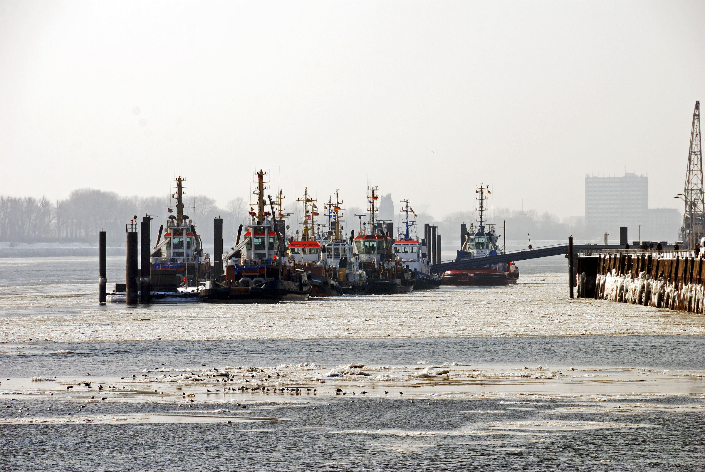 Neu auf meiner Website: Winterimpressionen aus Hamburg, ein Spaziergang entlang der Elbe.