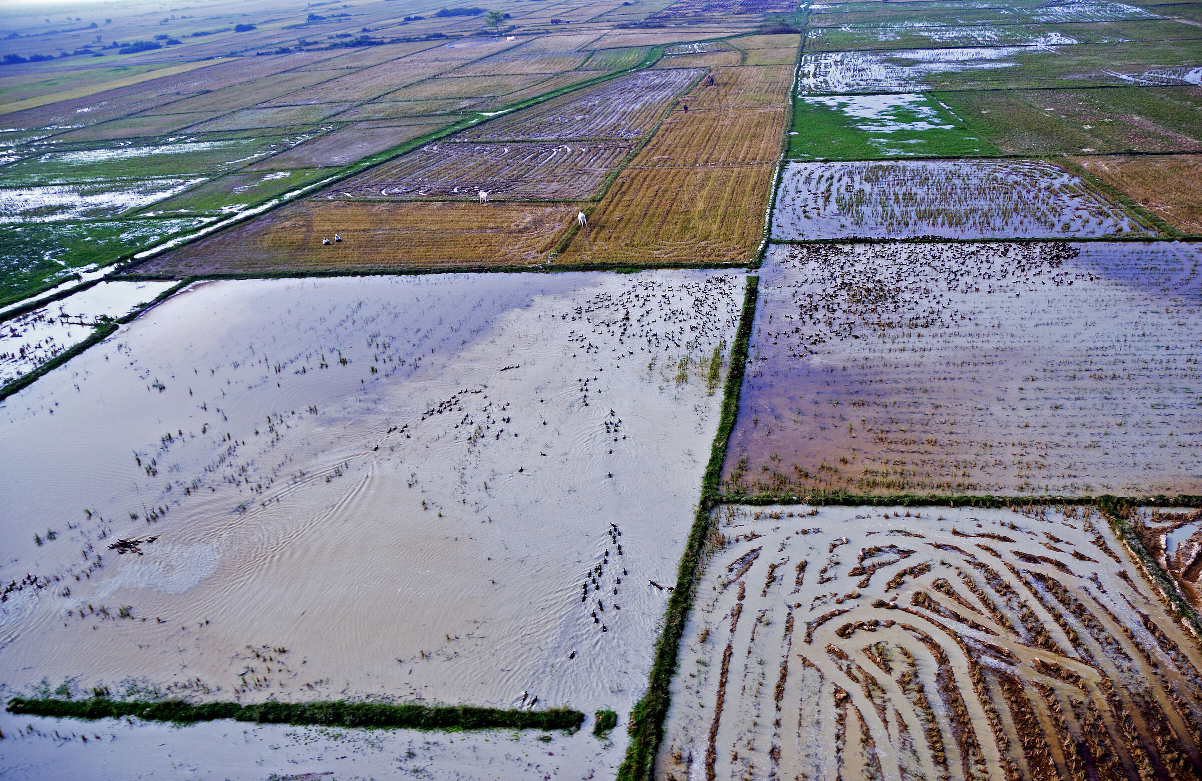 Neu auf meiner Website: Bilder aus Seam Reap in Kambodscha