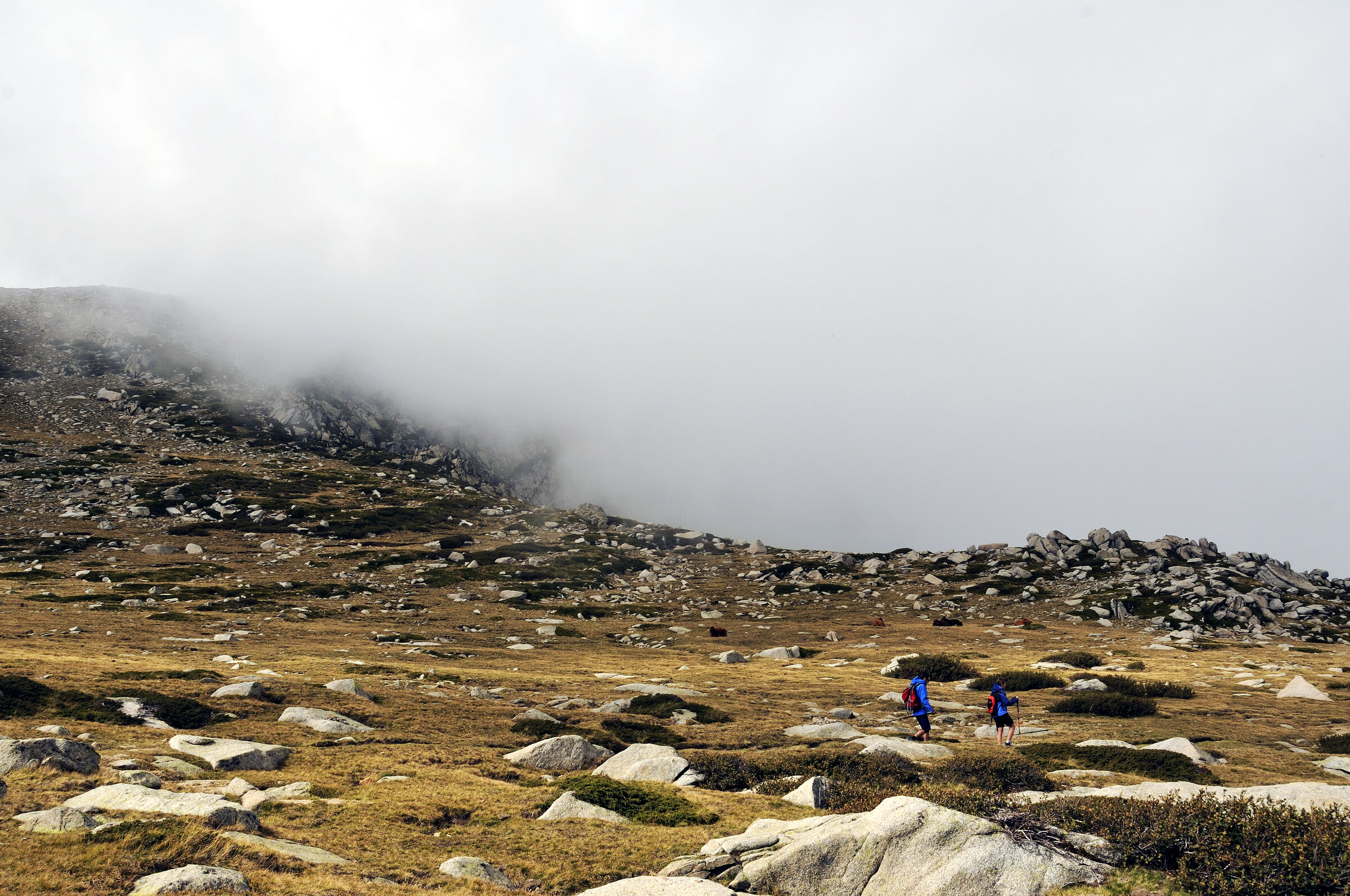 korsika  - aufstieg zum monte renoso und dem  bastanisee -  teil