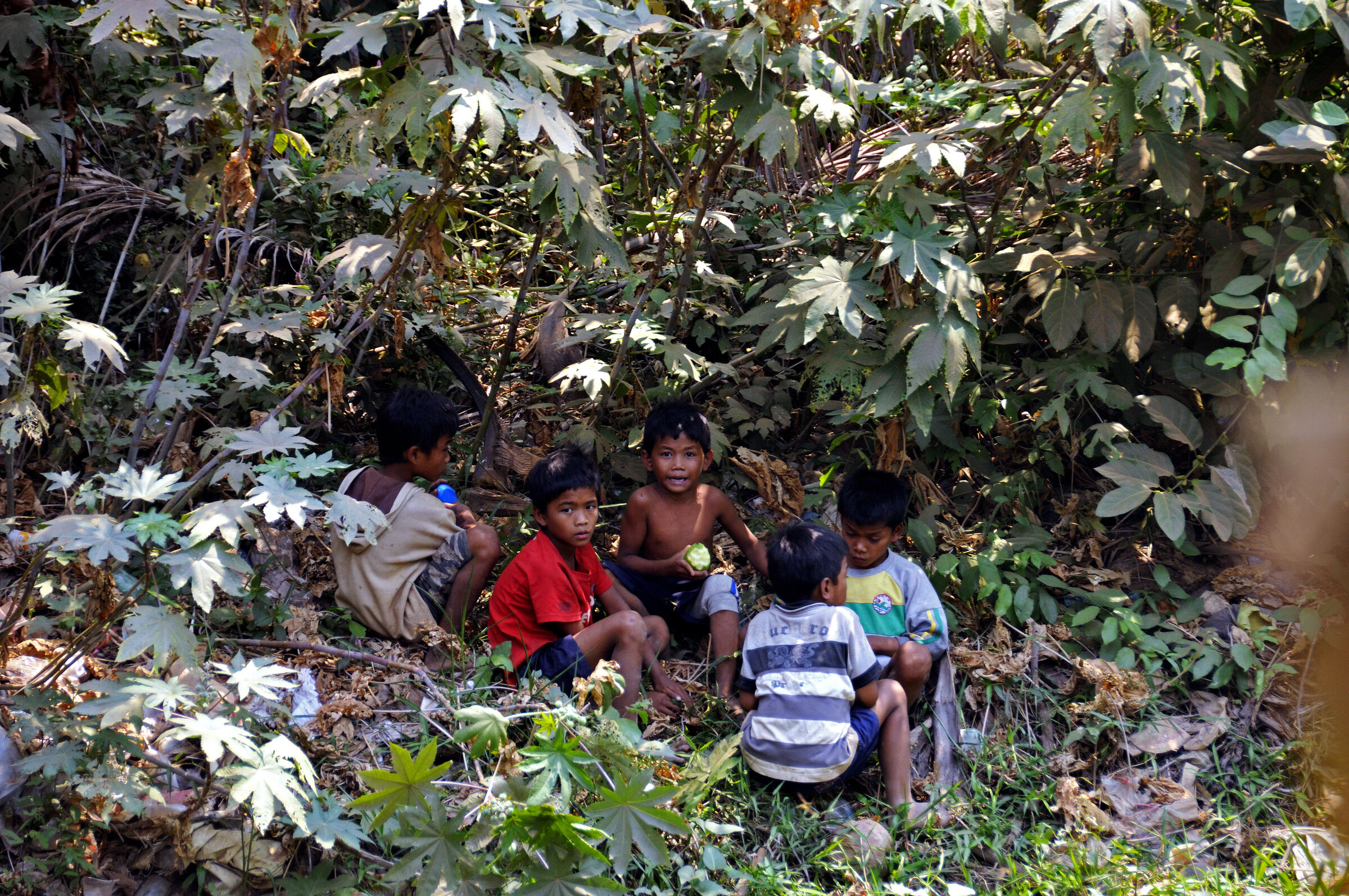 siem reap- unterwegs nach phnom krom (12)