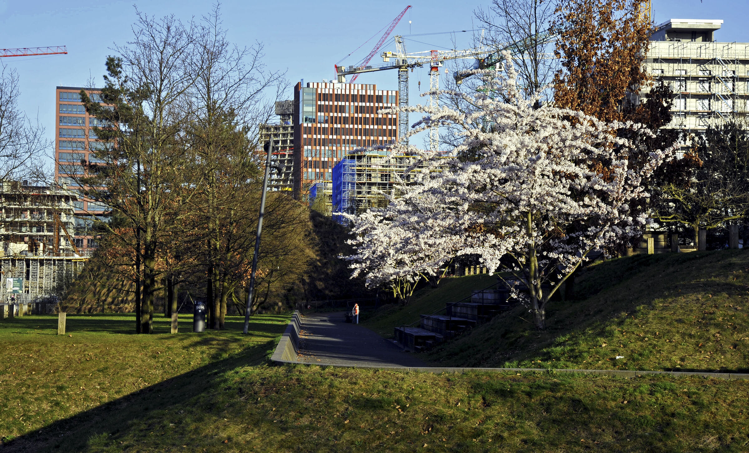 hamburg  2025 - hafencity (14)
