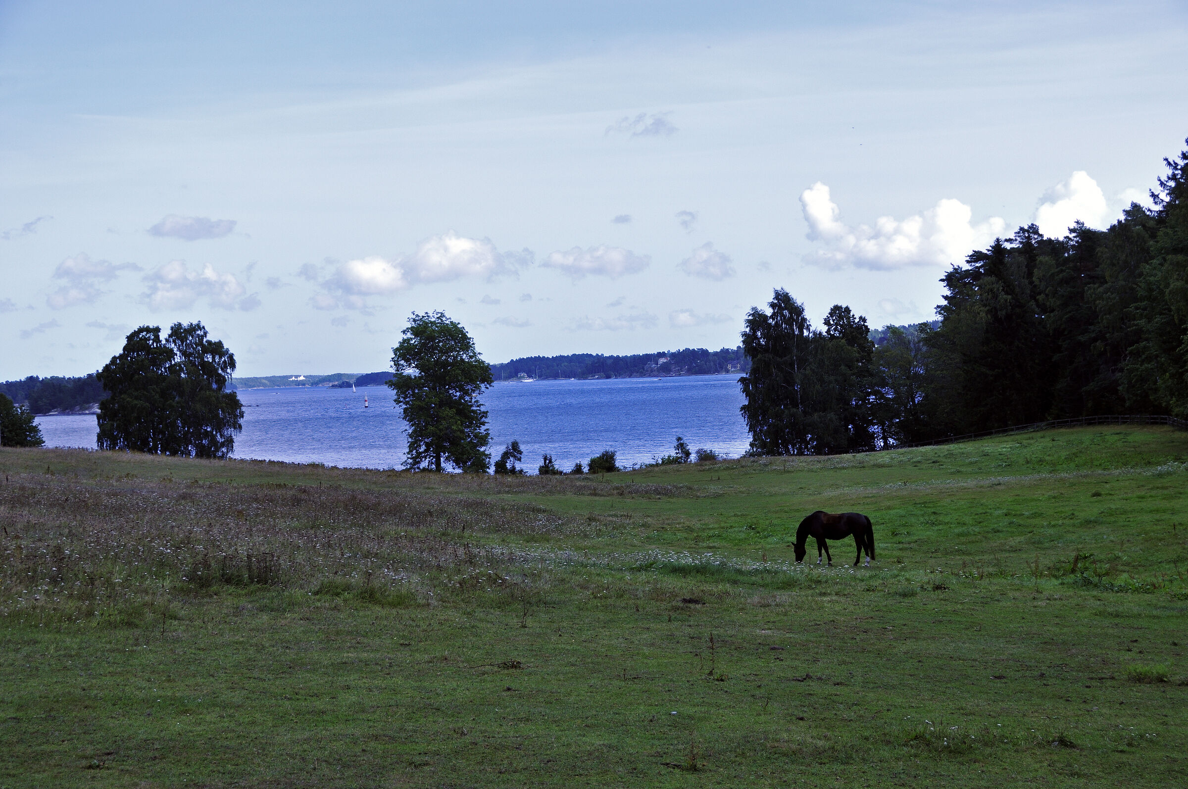 schweden 2017 - (107)