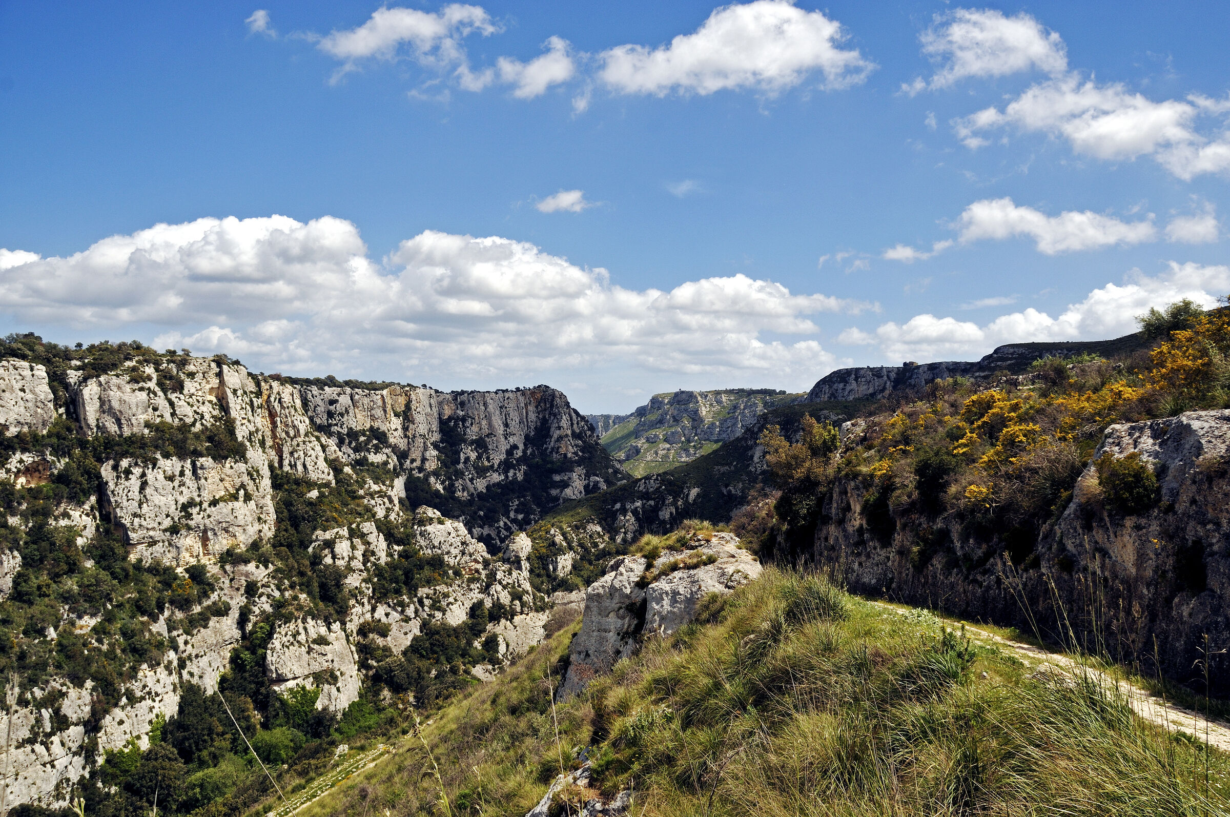 laghetti carrubella an der cava grande del cassibilie 2015 (03)