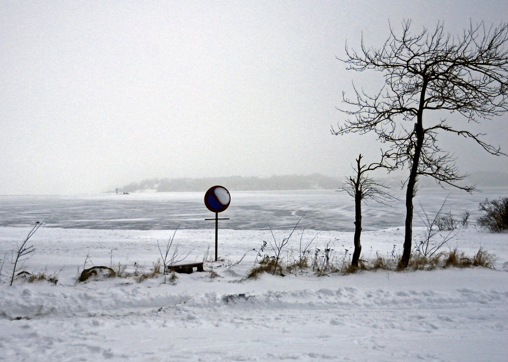 kolding fjord (02)