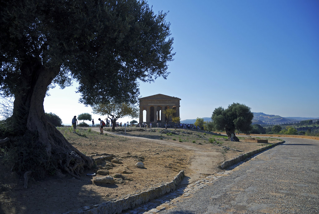 sizilien (18) - tal der tempel - der archäologische park teil 6