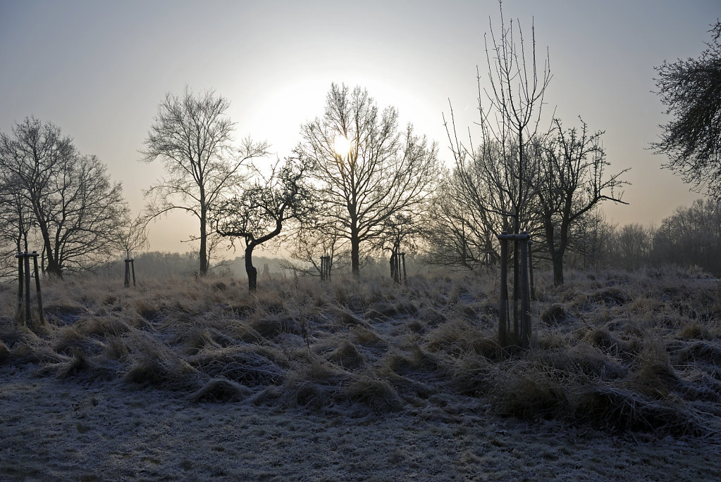 wendland (25) - im winter