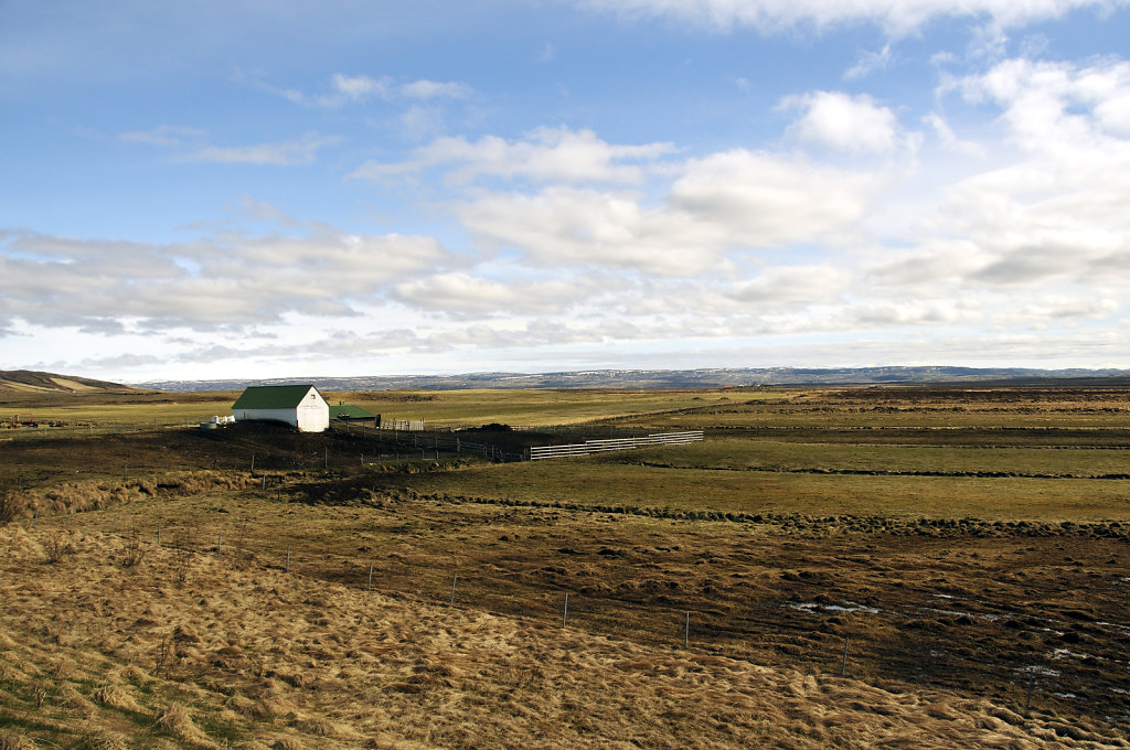 island – zwischen þingvellir und gullfoss (02)