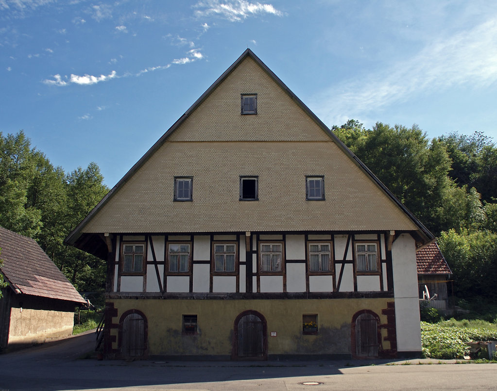 schwarzwald (11)