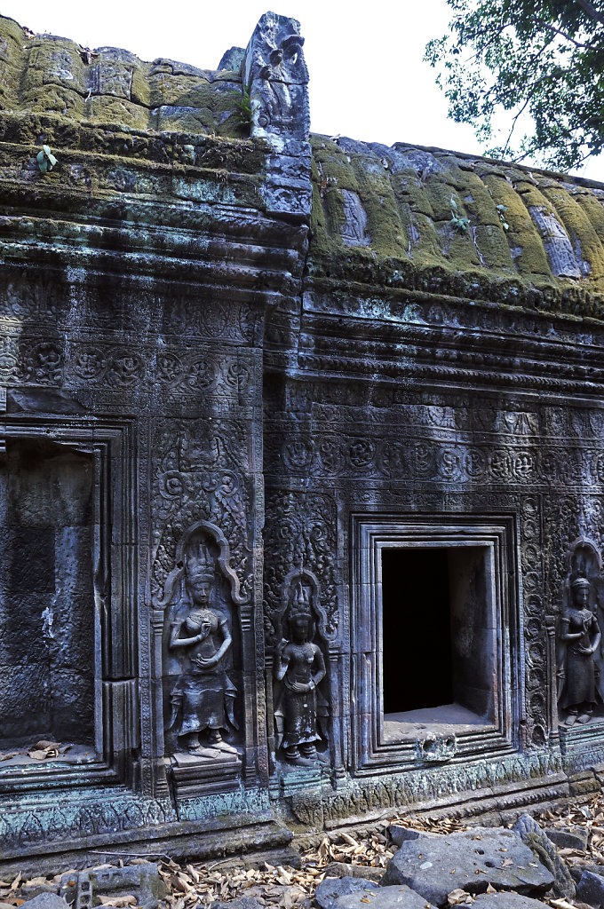 kambodscha - tempel von anghor - ta prohm (44)