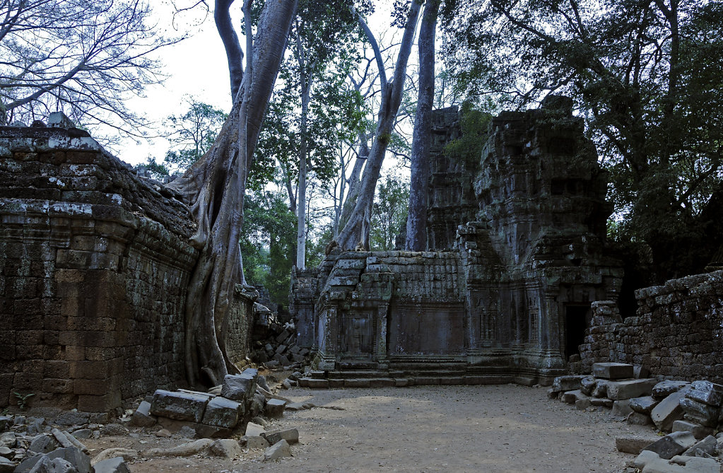 kambodscha - tempel von anghor - ta prohm (51)