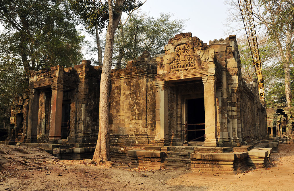 kambodscha - tempel von anghor - ta prohm (12)