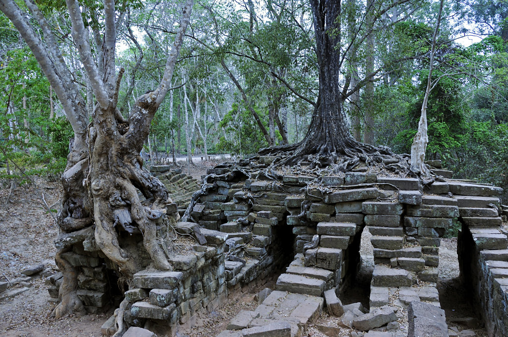 kambodscha - tempel von anghor - ta keo (29)