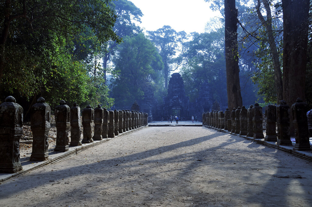 kambodscha - tempel von anghor - preak khan  (08)