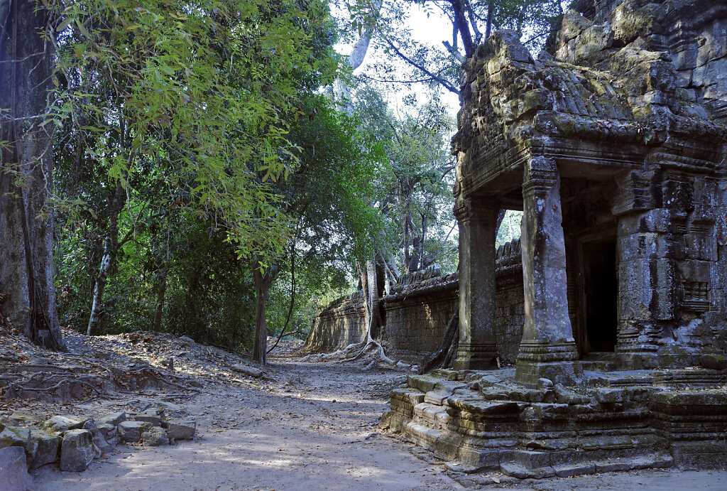 kambodscha - tempel von anghor - preak khan  (22)
