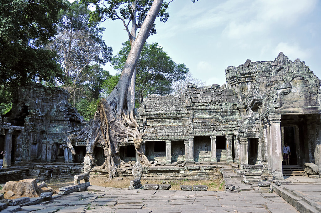 kambodscha - tempel von anghor - - preak khan  (61)