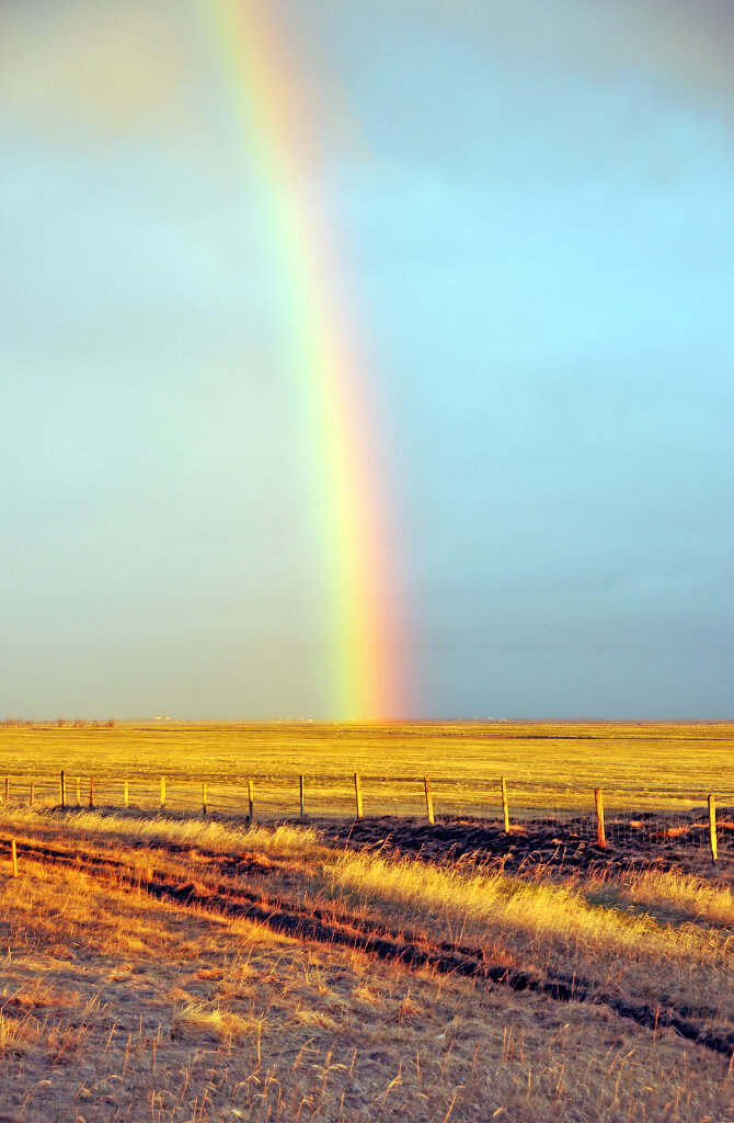 island – regenbogen