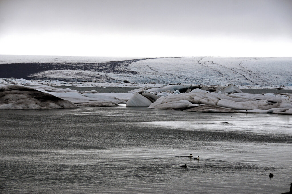 island – jökulsárlón (07)