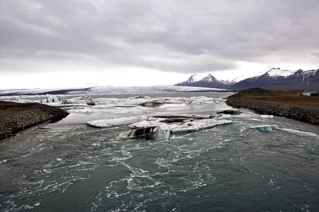 island – jökulsárlón (09)