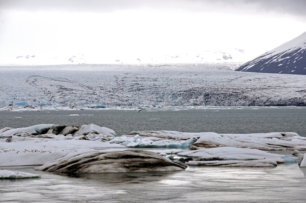 island – jökulsárlón (10)