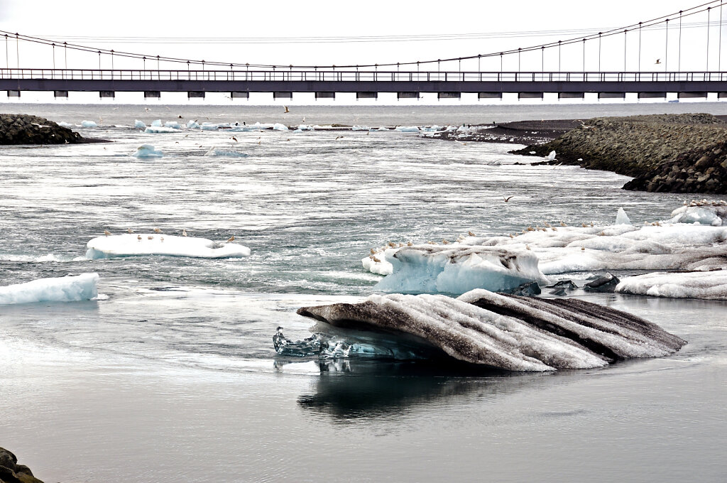 island – jökulsárlón (22)