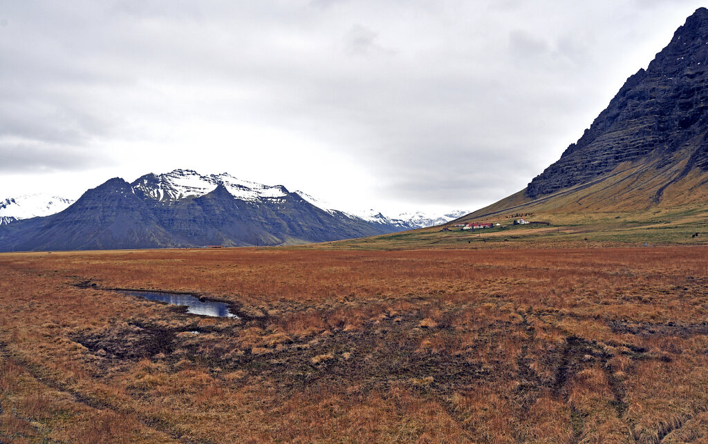 island – hinter kalfafellsstadur (1)