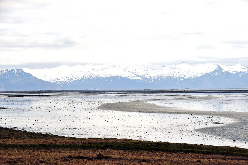 island – hinter kalfafellsstadur (3)