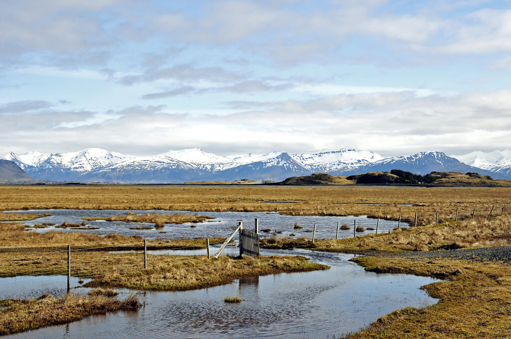 island – hinter kalfafellsstadur (6)