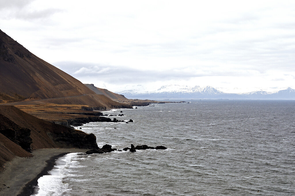 island – zwischen höfn und djúpavogsvegur (06)