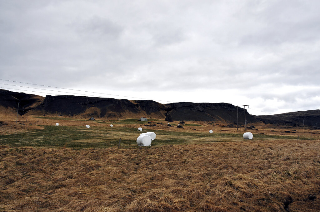 island – zwischen djúpavogsvegur und breiðdalsvík (01)