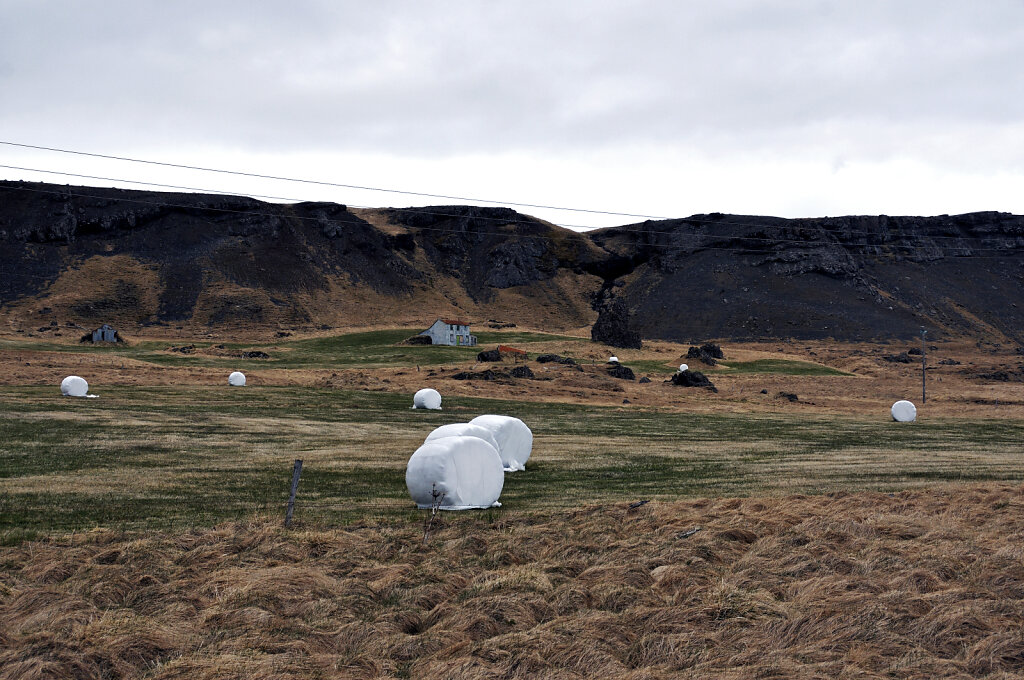 island – zwischen djúpavogsvegur und breiðdalsvík (02)