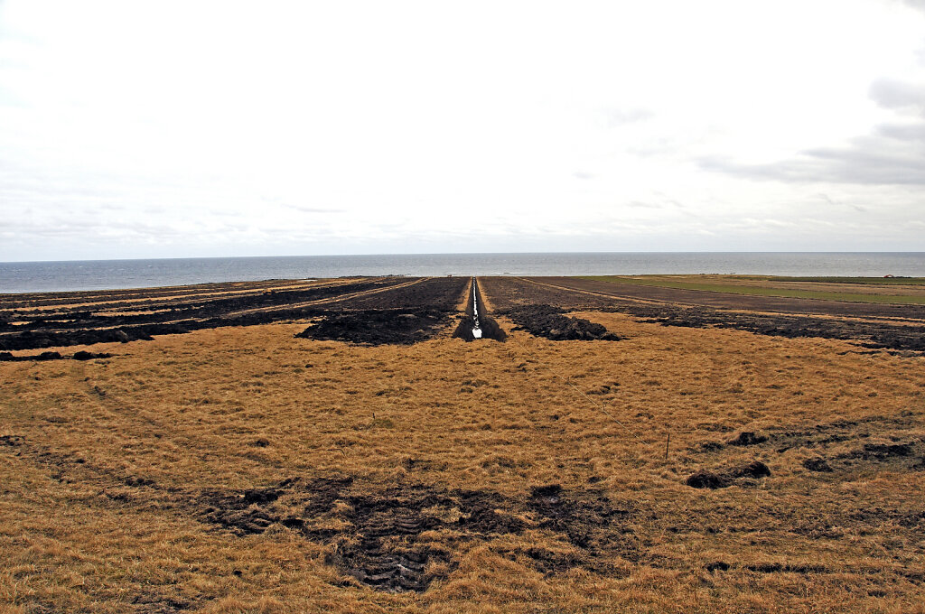 island – zwischen djúpavogsvegur und breiðdalsvík (12)