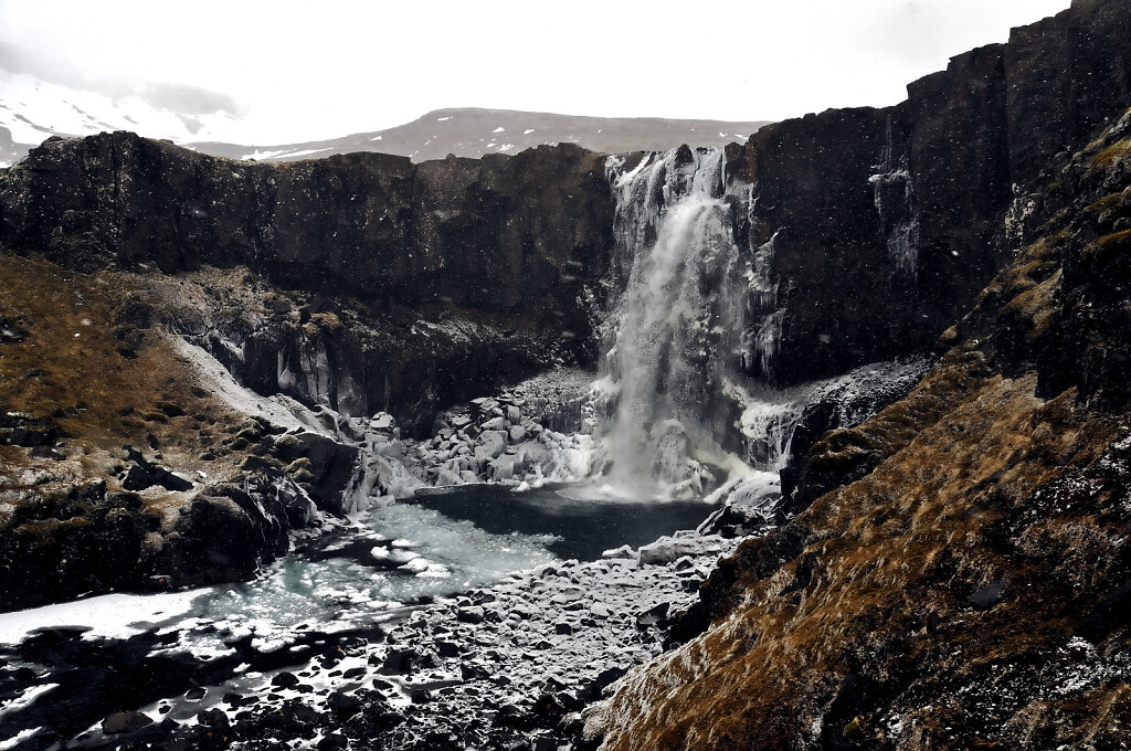 island – zwischen egilsstaðir und seyðisfjörður (7)