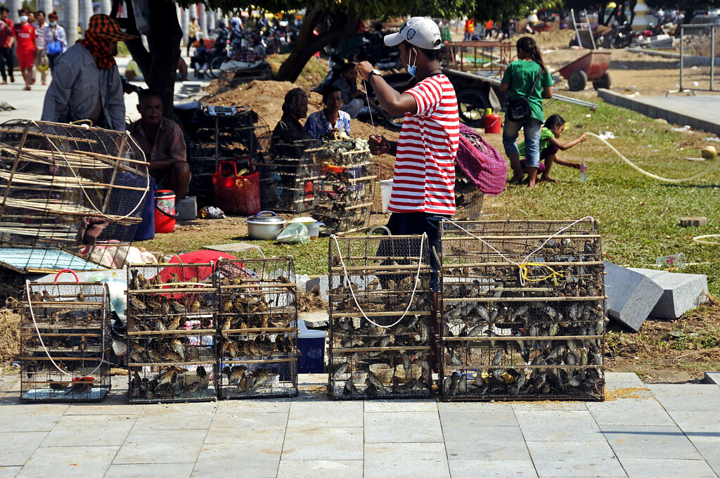 phnom penh -  am fluss (24)