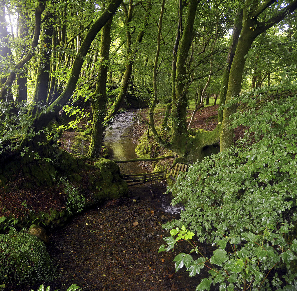 england – cornwall  (14)