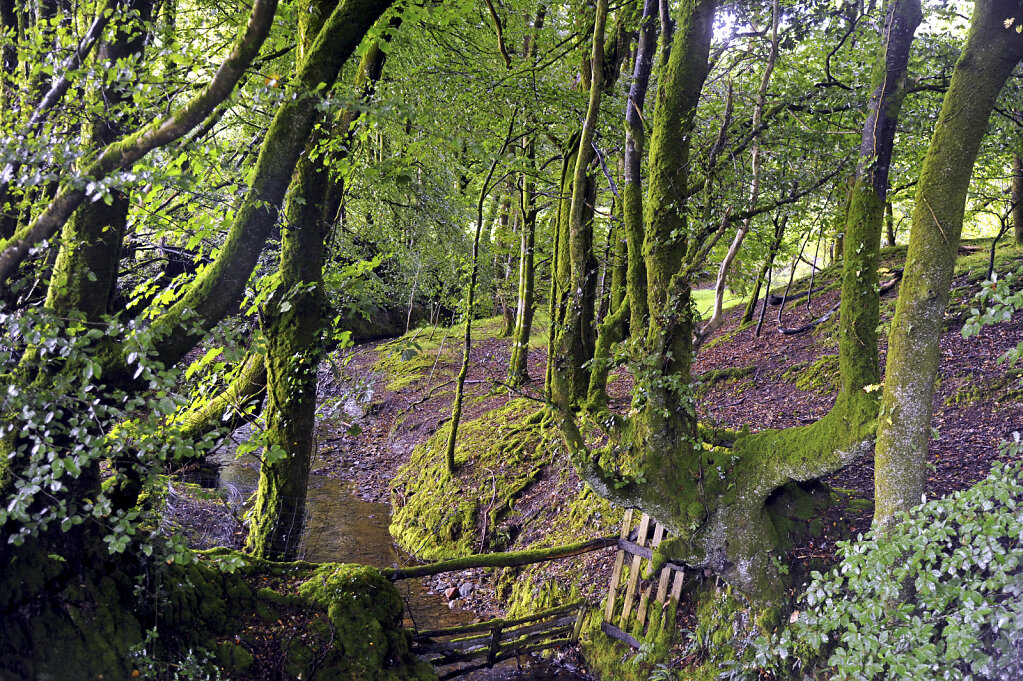 england – cornwall  (15)