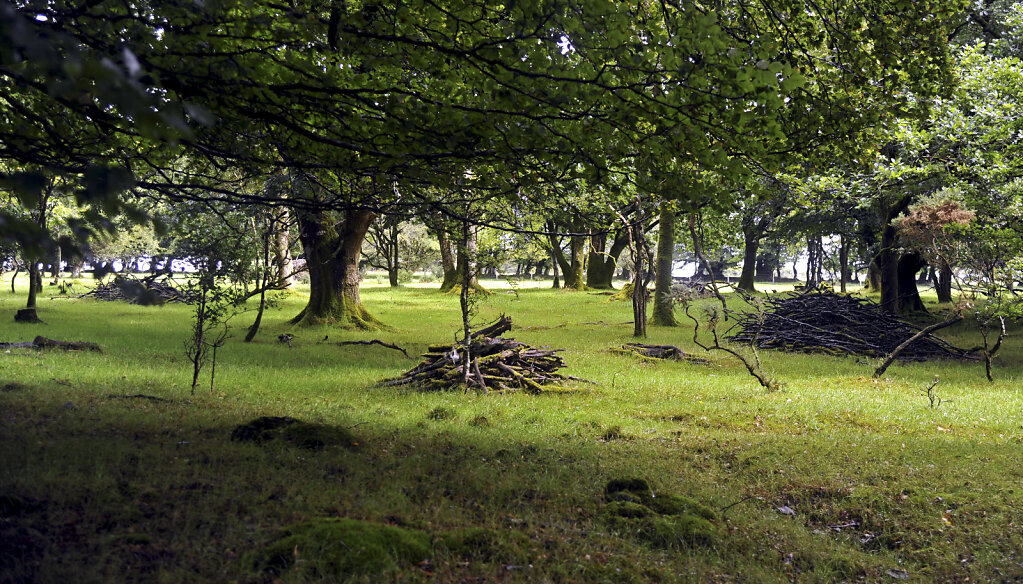 england – cornwall  (16)