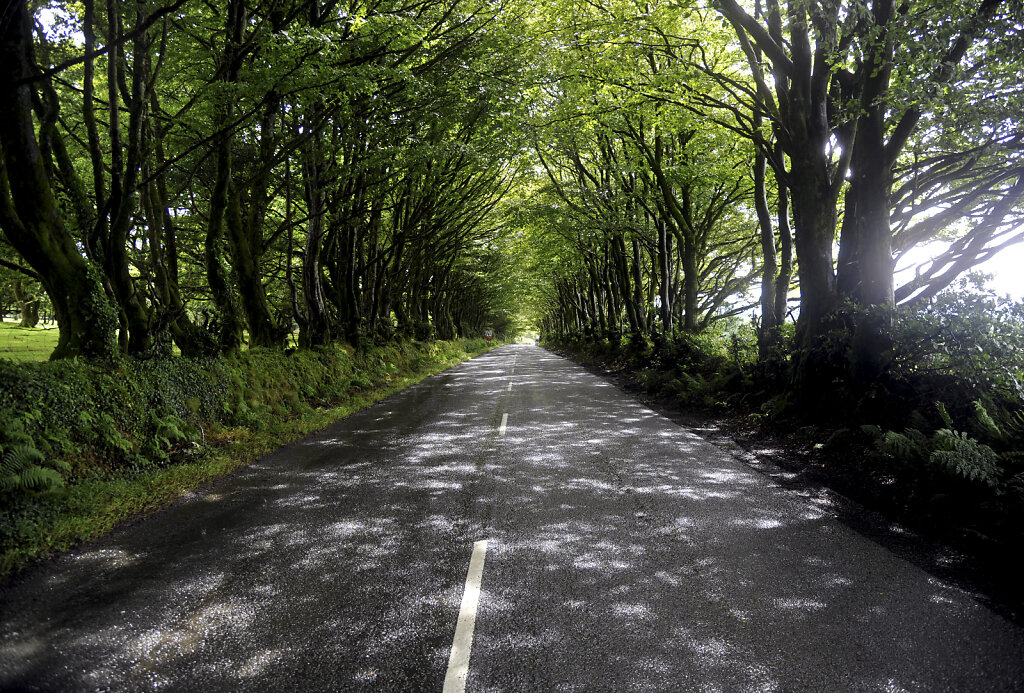 england – cornwall  (17)