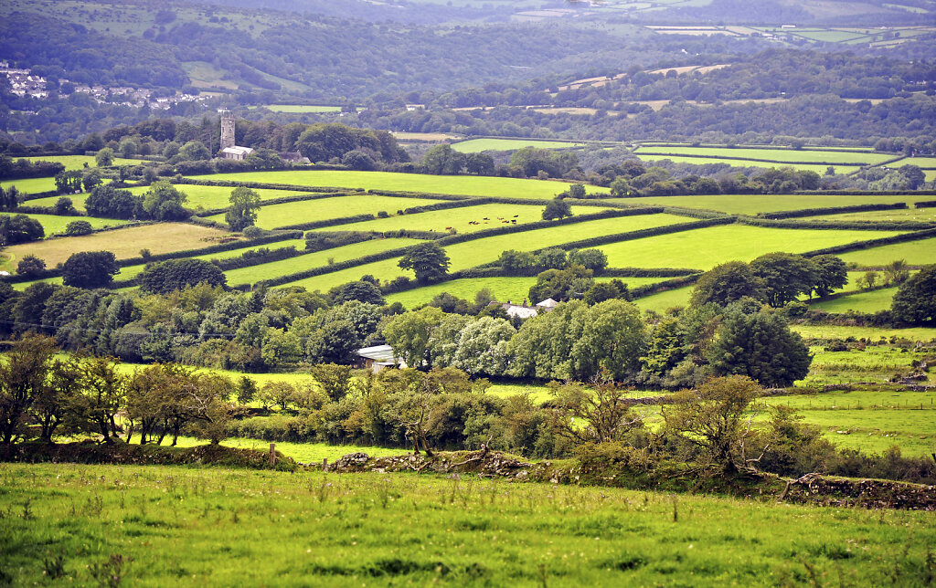 england – cornwall  (18)