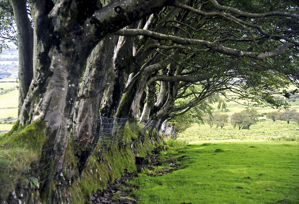 england – cornwall  (19)