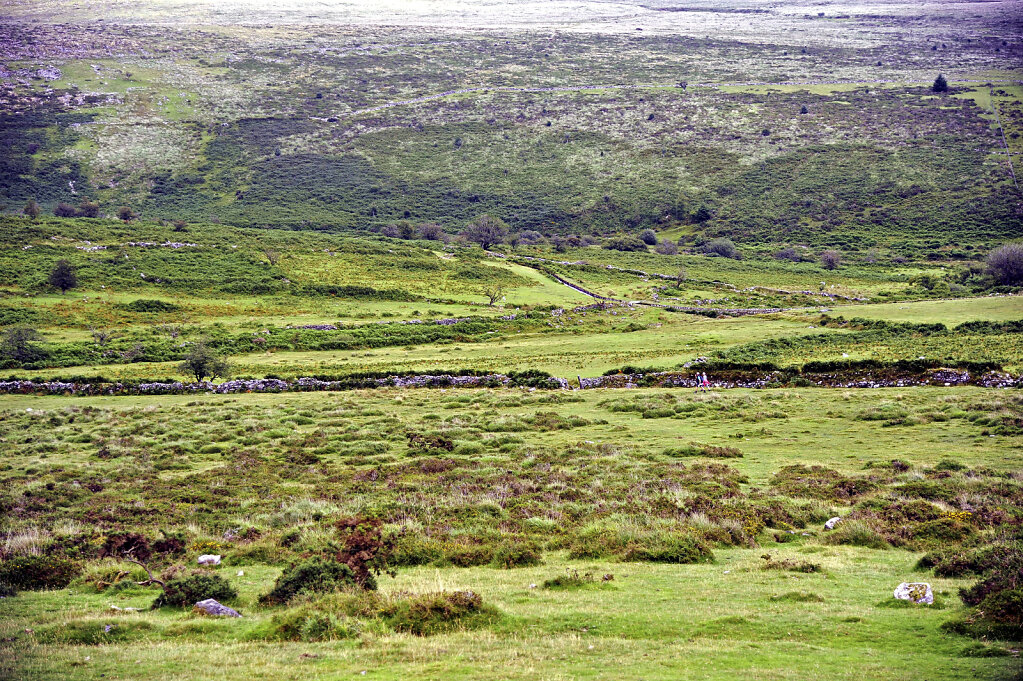 england – dartmoor  (01)