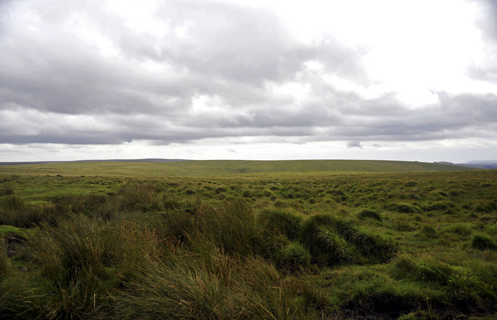 england – dartmoor  (03)
