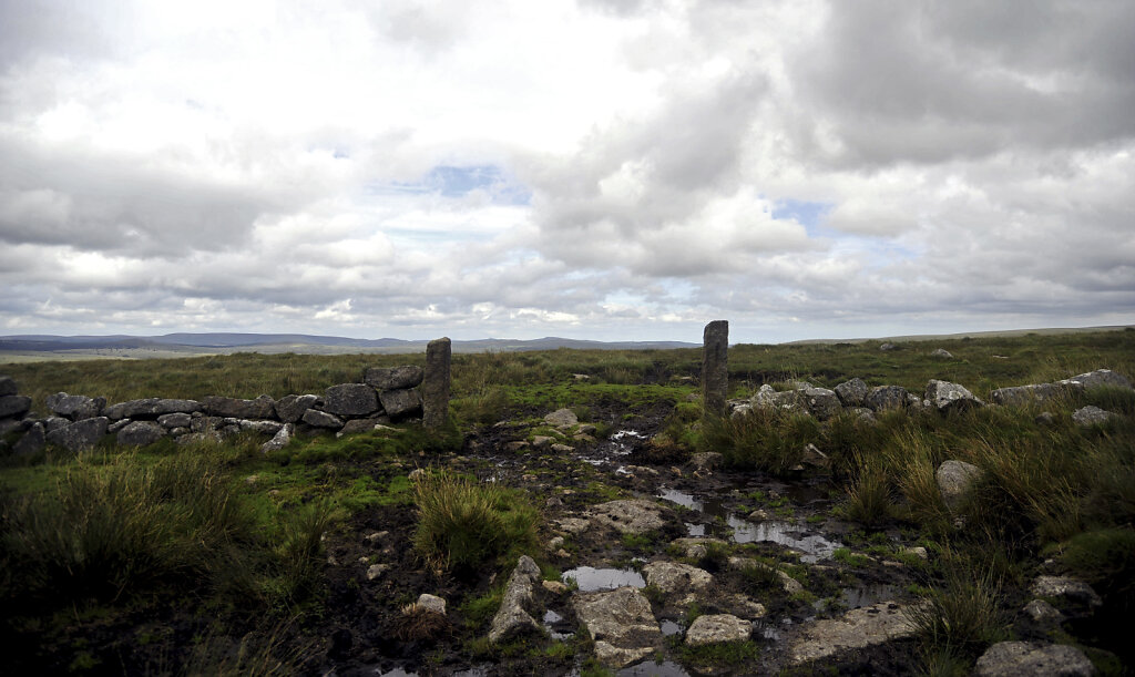 england – dartmoor  (04)