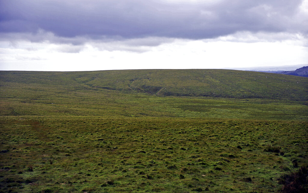 england – dartmoor  (06)