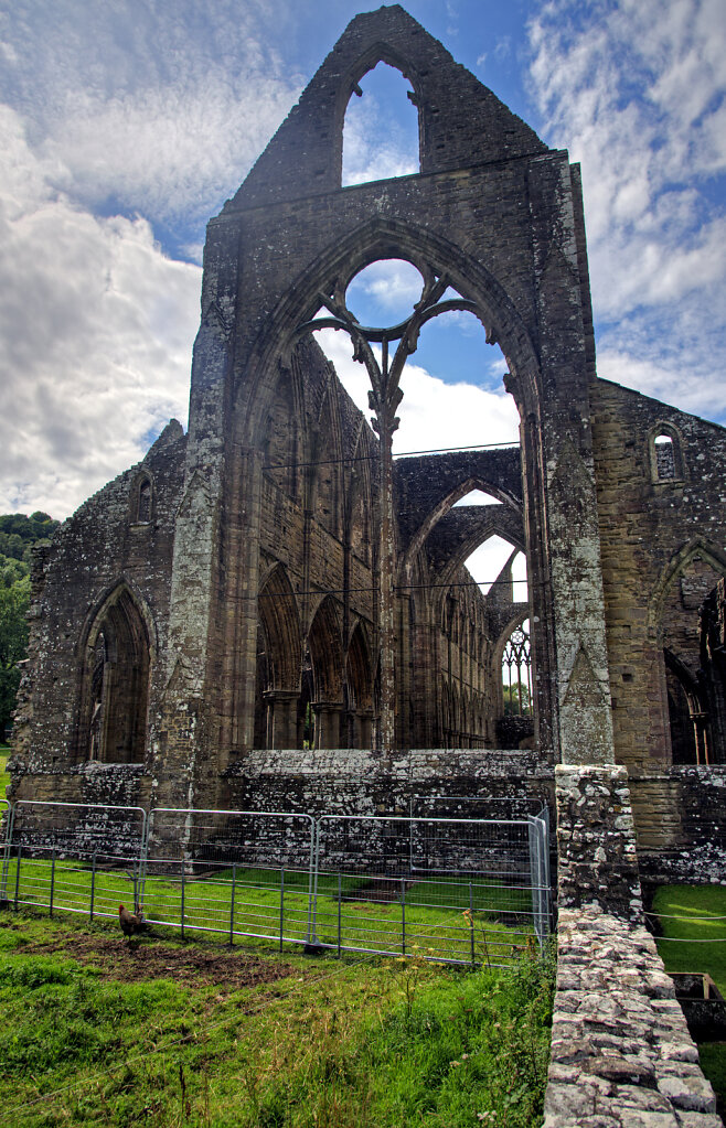wales –   tintern abbey (11)