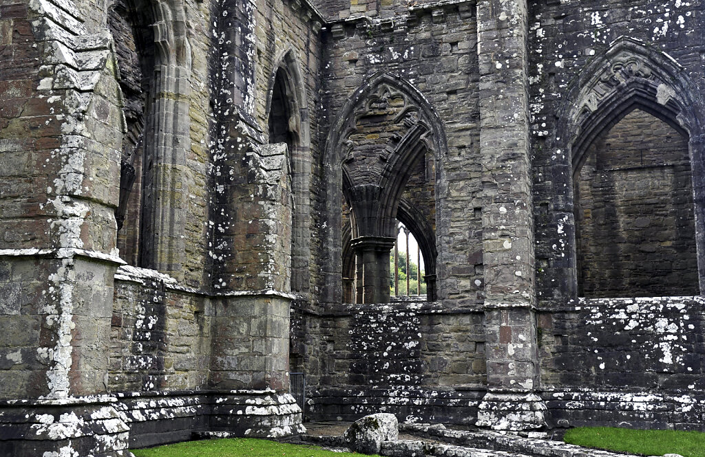 wales –  tintern abbey (17)