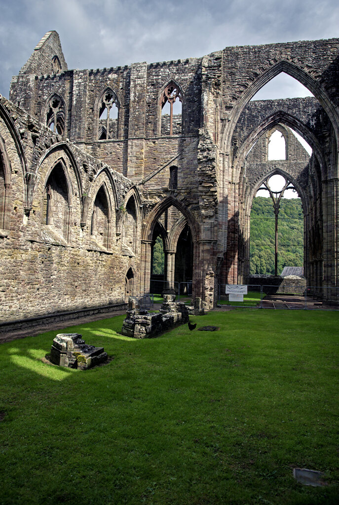 wales –  tintern abbey (20)
