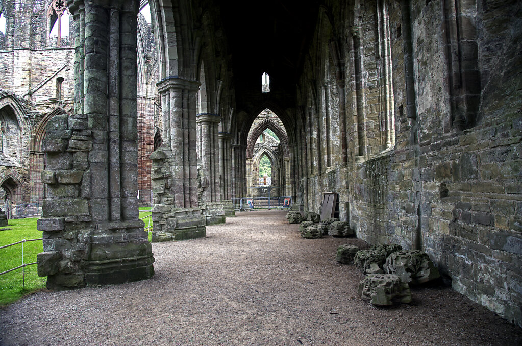 wales –  tintern abbey (29)
